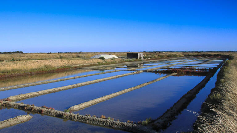 marais-salants