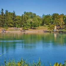 Camping La Roque-d'Anthéron