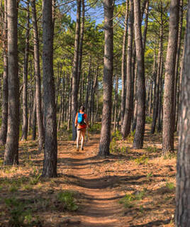 randonnee-landes