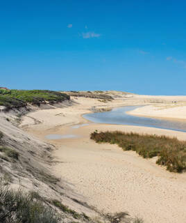 reserve-naturelle-courant-huchet