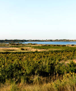 parc-naturel-narbonnaise