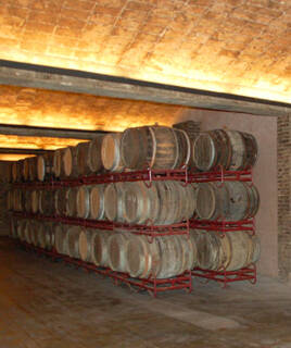 degustation-vin-rouge