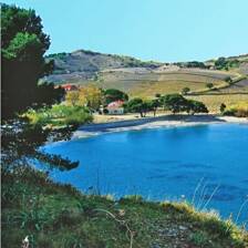 Camping Port-Vendres