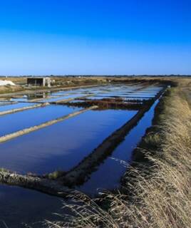 Camping Rochefort Inspiration Marais Tohapi