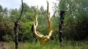 Arbre d'or de la forêt de Brocéliande en Ille et Vilaine