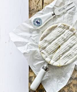 Fromage, camembert de Normandie