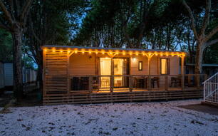 Mobil-home Ultimate Plus Tohapi