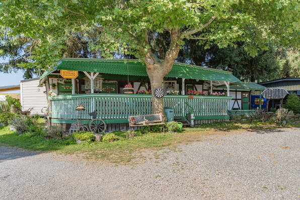 Camping Kinzigtal *** Bade-Wurtemberg photo 4 Tohapi