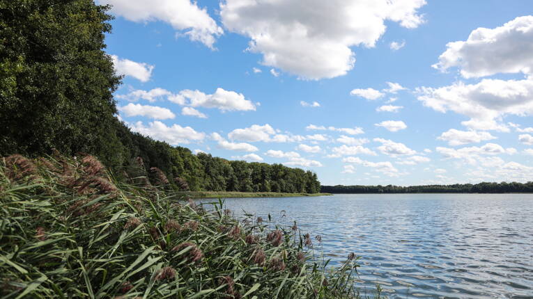 Camping Spreewaldtor **** photo 6 Brandebourg Tohapi