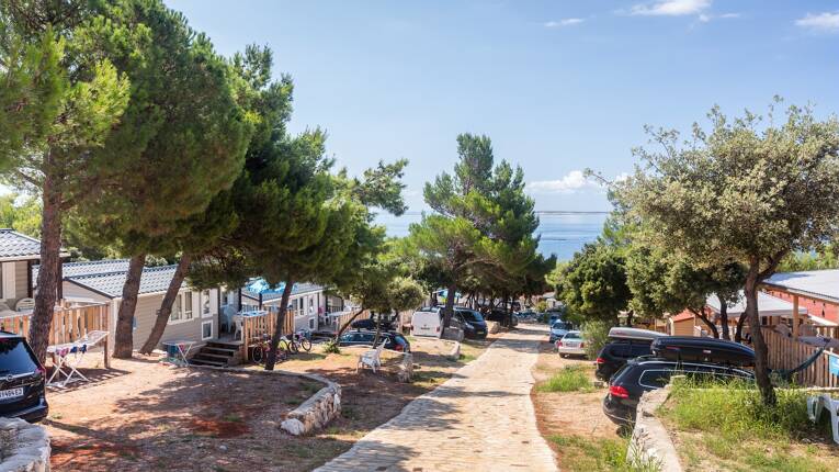 Camping Simuni *** photo 2 Dalmatie Tohapi