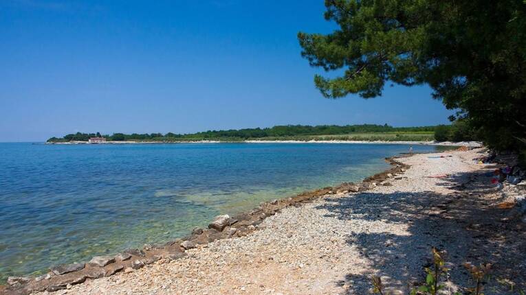 Camping Camp Kastanija *** photo 7 Istrie Tohapi