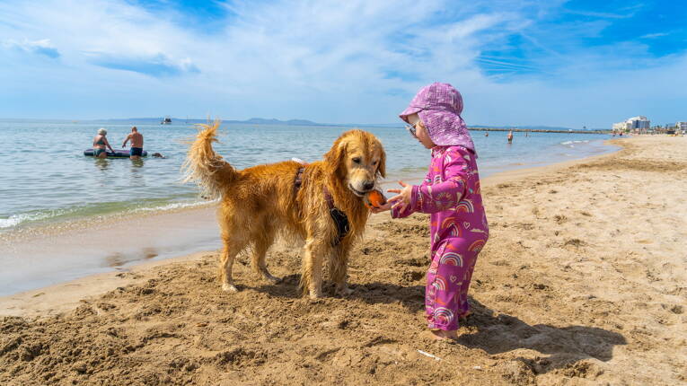 Camping Castelló Mar **** photo 6 Costa Brava Tohapi