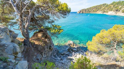 Camping Cala LLevado **** photo 6 Costa Brava Tohapi