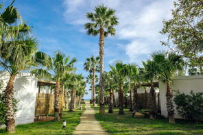 Camping Alannia Els Prats **** Costa Dorada photo 2 Tohapi