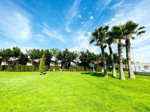 Camping Lo Monte **** Costa Blanca photo 4 Tohapi