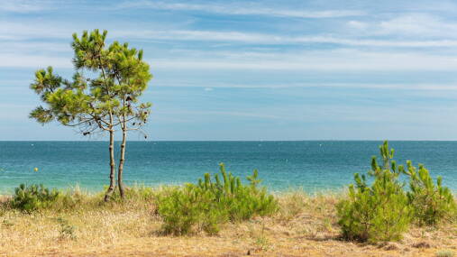 Camping Les Menhirs **** photo 7 Bretagne Tohapi