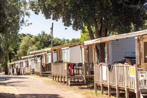 Camping Signol ***** Charente Maritime photo 2 Tohapi