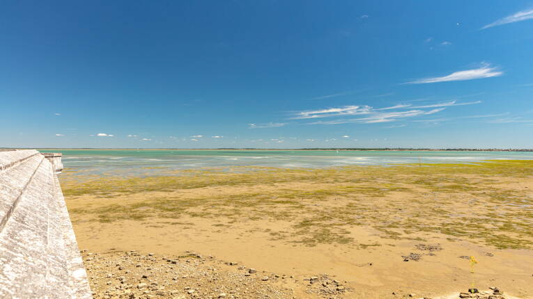 Camping Embruns d'Oléron **** photo 6 Charente Maritime Tohapi