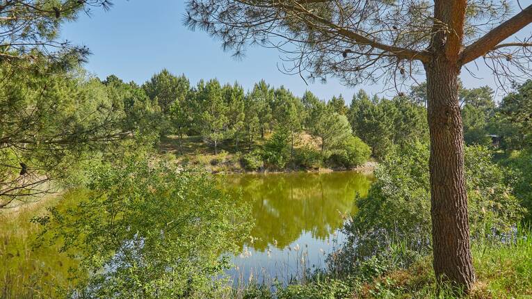 Camping La Pinède ***** photo 6 Charente Maritime Tohapi