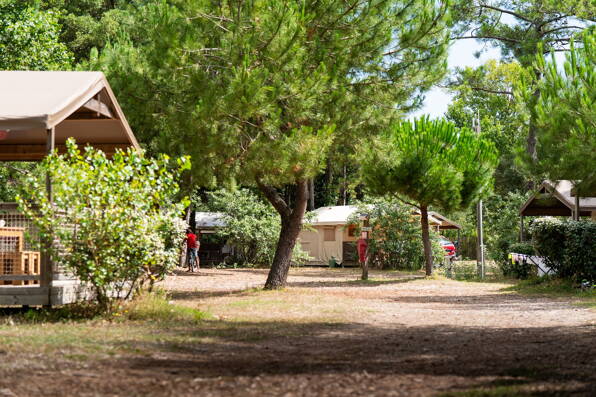Camping La Côte Sauvage *** Charente Maritime photo 1 Tohapi