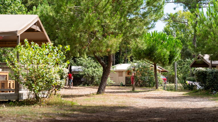 Camping La Côte Sauvage *** photo 1 Charente Maritime Tohapi