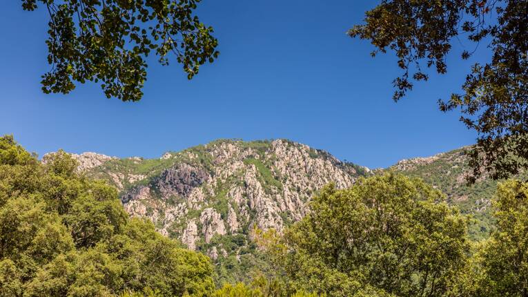 Camping Acqua e Sole **** photo 6 Corse Tohapi