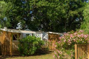 Camping Via Romana *** Corse photo 2 Tohapi