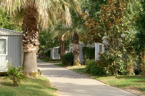 Camping L'Hippocampe ***** Languedoc Roussillon photo 2 Tohapi