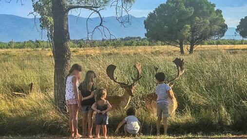 Camping Les Fontaines *** photo 5 Languedoc Roussillon Tohapi