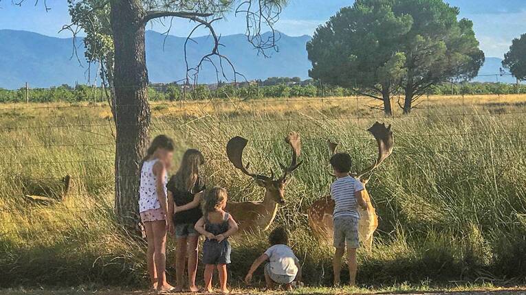 Camping Les Fontaines *** photo 5 Languedoc Roussillon Tohapi