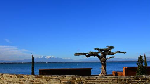 Camping Oasis California **** photo 6 Languedoc Roussillon Tohapi