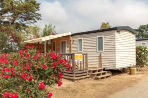 Camping Oasis California **** Languedoc Roussillon photo 3 Tohapi