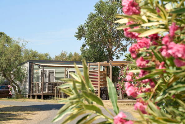 Camping Plage et Bord de mer **** Languedoc Roussillon photo 2 Tohapi
