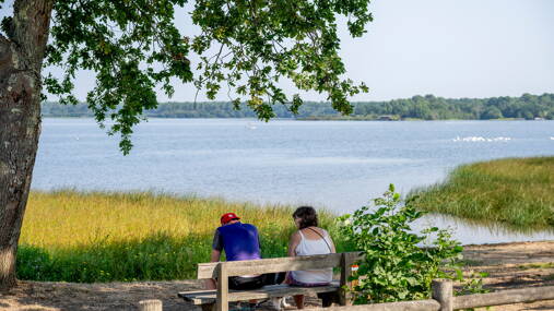 Camping Rivages des Landes **** photo 6 Landes Tohapi