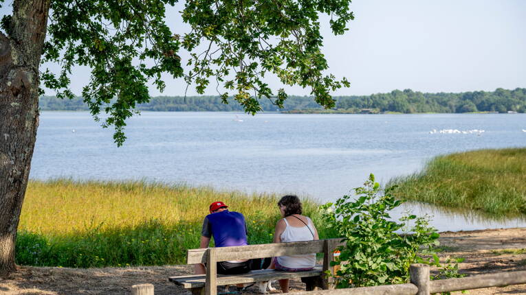 Camping Rivages des Landes **** photo 6 Landes Tohapi