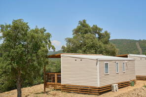 Camping Miremer **** Provence Côte d'Azur photo 2 Tohapi