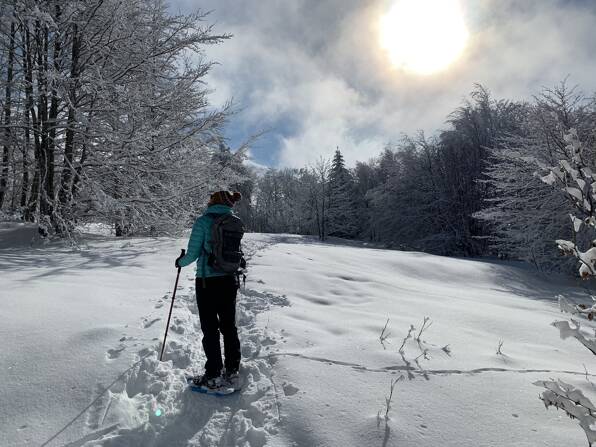 Camping Belledonne **** Rhône-Alpes photo 4 Tohapi