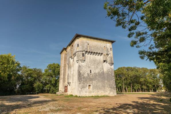 Camping L'Atlantique **** Vendée photo 4 Tohapi