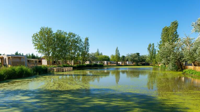 Camping Le Jard  **** photo 3 Vendée Tohapi