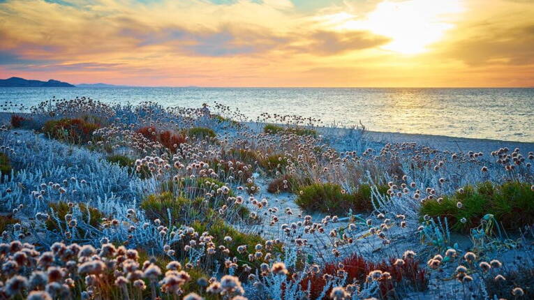 Camping Baia Paradiso *** photo 5 Sardaigne Tohapi