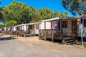 Camping Le Tamerici *** Toscane photo 3 Tohapi