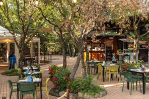 Camping Hu Montescudaio Village **** Toscane photo 3 Tohapi