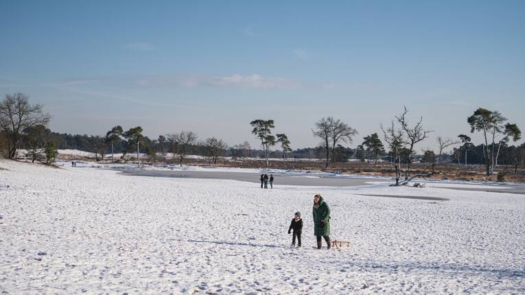 Camping Marvilla Parks Kaatsheuvel **** photo 6 Brabant-Septentrional Tohapi