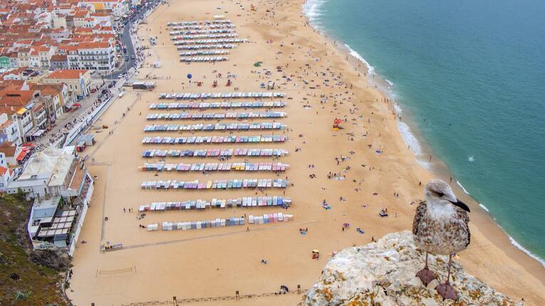 Camping Colina do Sol **** photo 6 Centre Portugal Tohapi