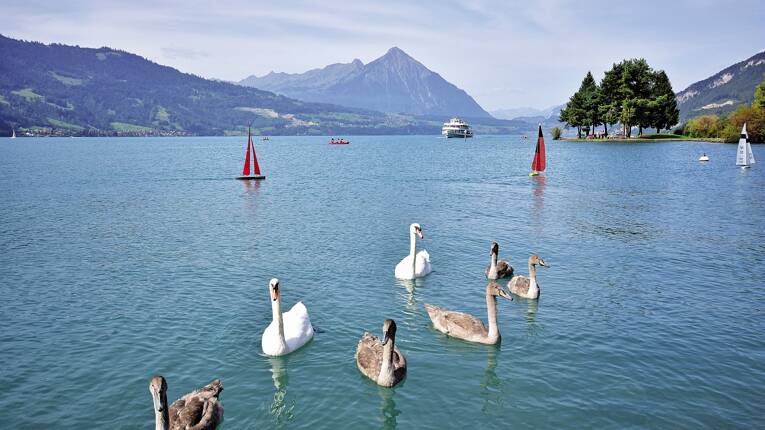 Camping Manor Farm ***** photo 6 Berne Tohapi